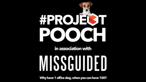 Caroo Project Pooch